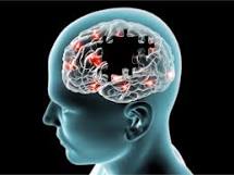 Hội chứng suy giảm trí nhớ Alzheimer và cách phòng ngừa